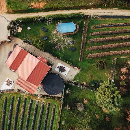 Quinta Vale Salgueiro Leilighet Seia Eksteriør bilde