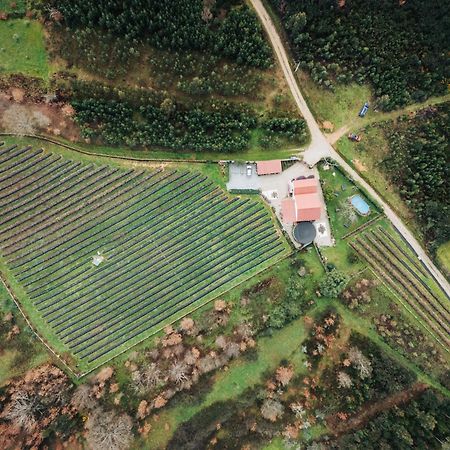 Quinta Vale Salgueiro Leilighet Seia Eksteriør bilde