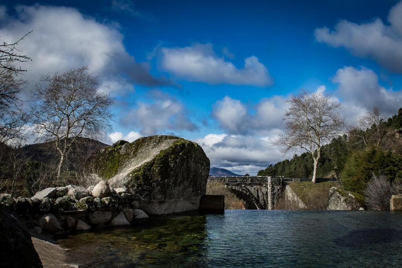 Quinta Vale Salgueiro Leilighet Seia Eksteriør bilde