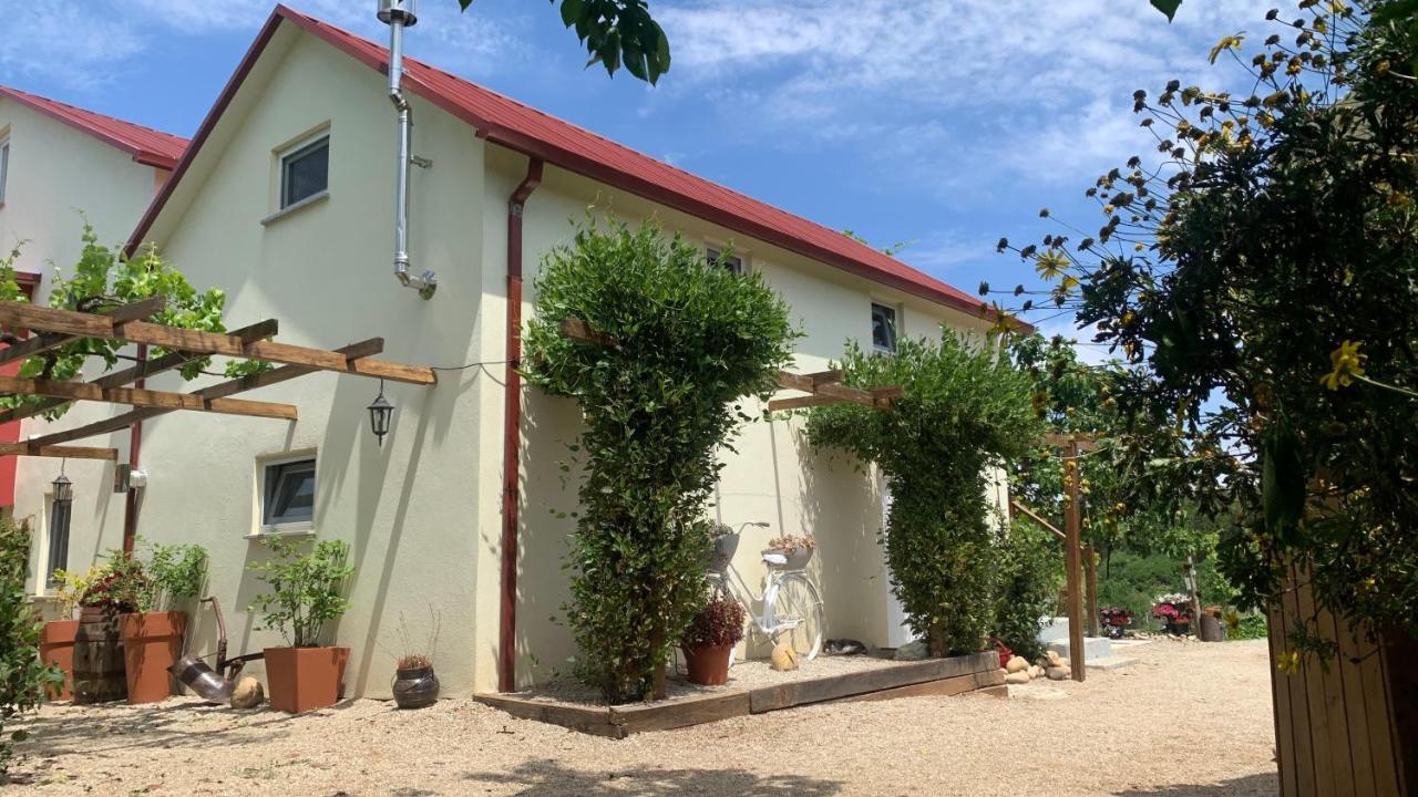 Quinta Vale Salgueiro Leilighet Seia Eksteriør bilde