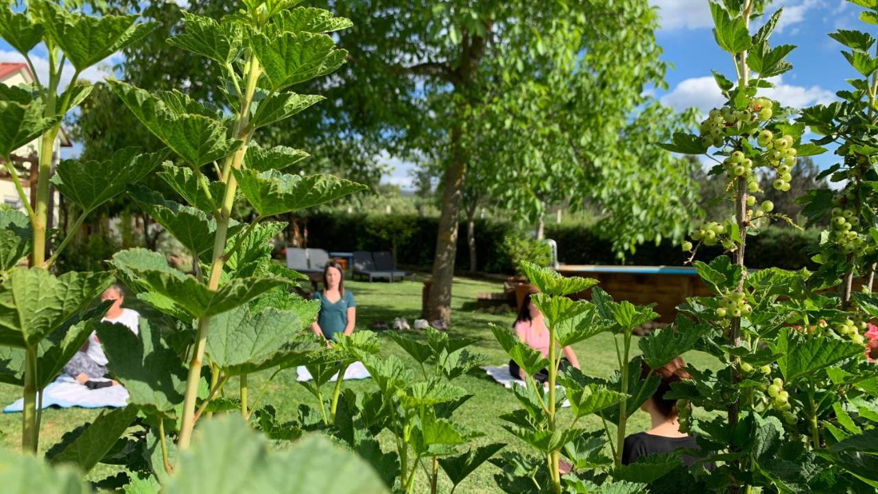 Quinta Vale Salgueiro Leilighet Seia Eksteriør bilde