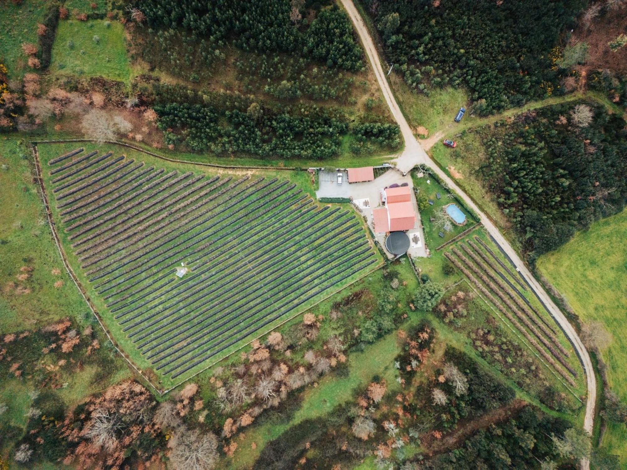 Quinta Vale Salgueiro Leilighet Seia Eksteriør bilde